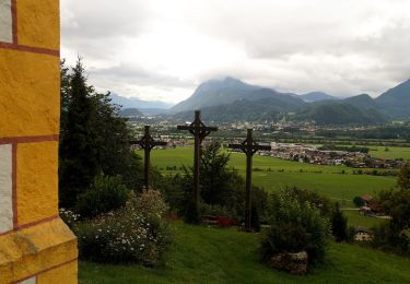 Percorso A piedi Gemeinde Ebbs - St. Nikolaus Rundweg - Photo