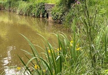 Trail Walking Jouy-en-Josas - Viltain - Photo