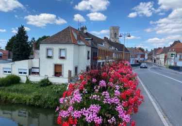 Percorso Marcia Marchiennes - Marchiennes 15,6 km - Photo