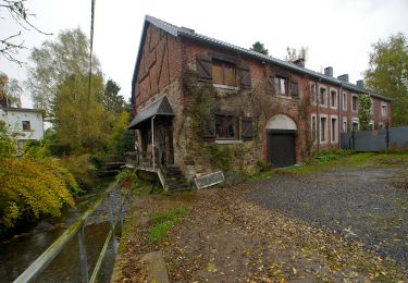 Randonnée A pied Herve - Les Quatre Cîmes du Pays de Herve - Photo