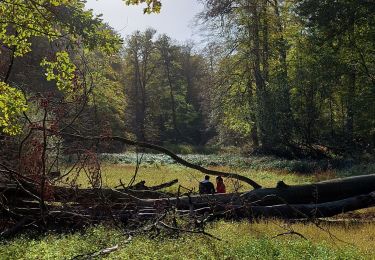 Excursión Senderismo Watermael-Boitsfort - Watermaal-Bosvoorde - Watermael-boitsfort 01-11-2022 - Photo