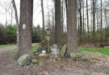 Tocht Te voet Gutsbezirk Spessart - Alsberg - Golf-Club Spessart - Roter Weg - Photo