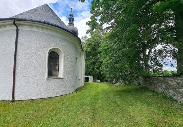 Excursión A pie Dětřichov nad Bystřicí - NS Panské louky - Photo