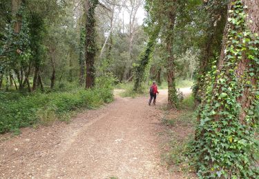 Trail Walking Valbonne - sophia aqueduc 1 - Photo