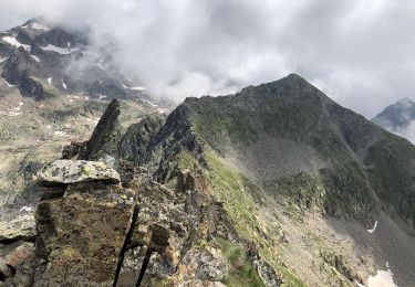 Tour Wandern Saint-Martin-Vésubie - Cime du Mercantour  - Photo