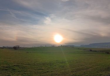 Trail Walking Theux - tillot . hodbomont . mont . wisselez . tillot - Photo