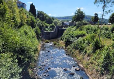 Tocht Mountainbike Vielsalm - route n2 - Photo