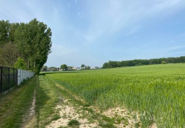 Tour Wandern Berchem-Sainte-Agathe - Sint-Agatha-Berchem - Berchem St Ulrike k 17 km - Photo