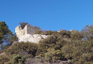 Randonnée Marche Saint-Restitut - Plateau du Barry  - Photo