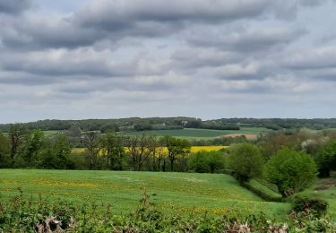 Tour Wandern Sains-du-Nord - Sains du Nord le bocage le vert buisson et Brode - Photo