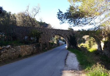 Trail Walking Cuers - Le Castellas Cuers - Photo
