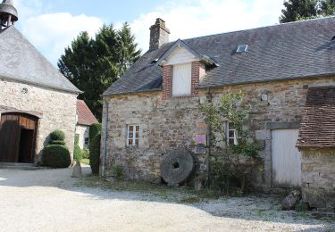 Trail On foot Bagnoles-de-l'Orne-Normandie - Bagnoles-de-l'Orne - Photo