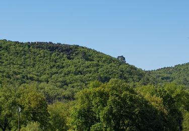 Trail Walking Gréoux-les-Bains - Gréoux, le Colostre et le Verdon. - Photo