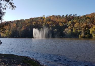 Tour Wandern Spa - Lac de Warfaaz - Nivezé - Stockay - Photo