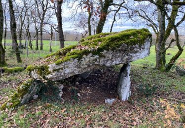 Tocht Stappen Lalbenque - Lalbenque pr courbesse - Photo