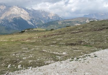 Trail Walking Auronzo di Cadore - tre cime 526m 11.5kms  - Photo