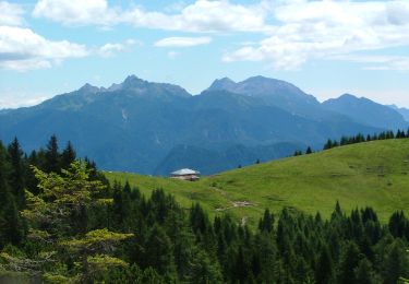 Tocht Te voet Domegge di Cadore - Sentiero del Pastore - Photo