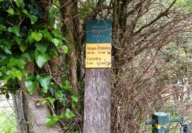 Trail Walking Plan-de-Baix - Canyon du Gueulards- Ombleze - Photo
