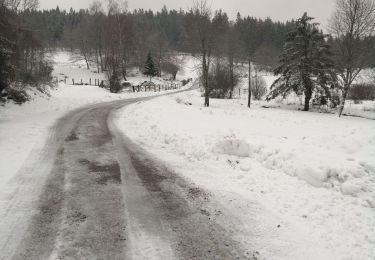 Tour Wandern Le Tholy - petit tholy trou de l'enfer  - Photo