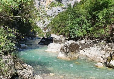 Tocht Te voet Aiguines - Gorge du Verdon;le sentier de  l'Imbut - Photo