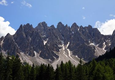 Trail On foot Toblach - Dobbiaco - IT-6A - Photo