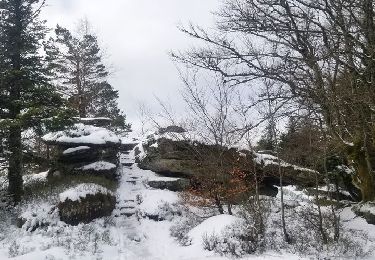 Trail Walking Oberhaslach - MF Nideck Schneeberg  Wetzlach - Photo