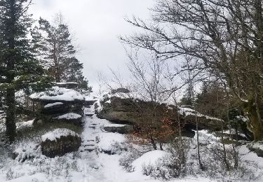 Excursión Senderismo Oberhaslach - MF Nideck Schneeberg  Wetzlach - Photo