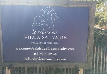 Trail Walking Le Lavandou - Le Mavandou - Photo