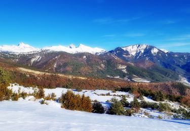 Trail Walking Montbrand - Crête du Luzet Via Creyers - Photo