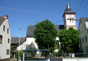 Randonnée A pied Melsbach - Rundwanderweg Rengsdorf 4 - Photo