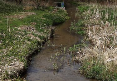 Randonnée A pied Guildford - Tillingbourne at work (long) (SCC) - Photo