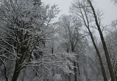 Tocht Stappen Aken - Aachenerwald ❄️⛄️ - Photo