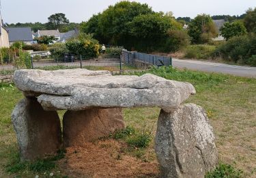 Tour Mountainbike Auray - 56-v45_auray_quiberon_44km - Photo