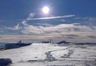 Tocht Stappen Le Bonhomme - 2019-01-19 Marche Neige Gazon du Faing - Photo