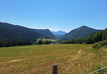 Trail Walking Le Sappey-en-Chartreuse - L'EMEINDRA / HABERT DE CHAMECHAUDE - Photo