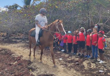 Tour Wandern Le Vauclin - Randonnée scolaire - Photo