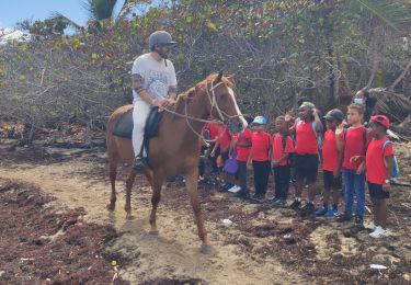 Percorso Marcia Le Vauclin - Randonnée scolaire - Photo