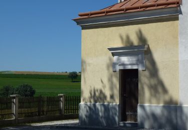 Percorso A piedi Gemeinde Lichtenegg - Kaltenberg - Schlag - Photo