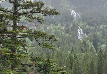 Tour Wandern Benasque - Arboretum Turpi - Photo