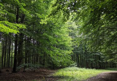 Randonnée A pied Hukvaldy - Naučná stezka Janáčkův chodníček - Photo