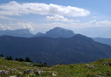 Tocht Stappen Proveysieux - rochers de Chalves d’après Geba - Photo