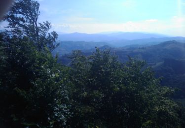 Excursión A pie Codlea - Codlea - Cetatea Neagră - Photo