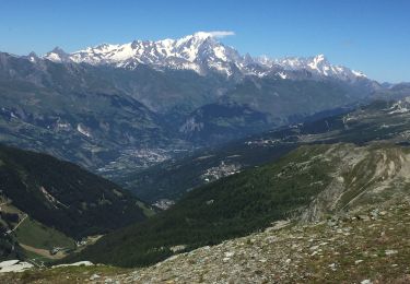 Randonnée Marche La Plagne-Tarentaise - La roche de Mio - Photo