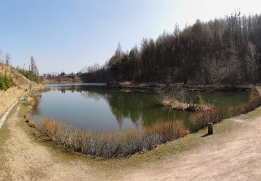 Tocht Te voet Goleszów - Szlak spacerowy 