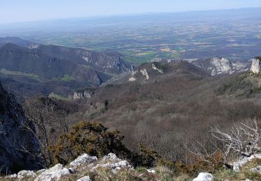 Trail Walking Beauregard-Baret - pré de 5 sous 01 04 21 - Photo