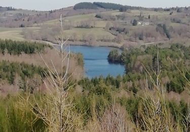 Trail Walking Peyrelevade - Fred lac du Chammet  - Photo