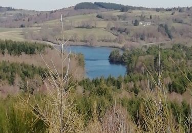 Tocht Stappen Peyrelevade - Fred lac du Chammet  - Photo