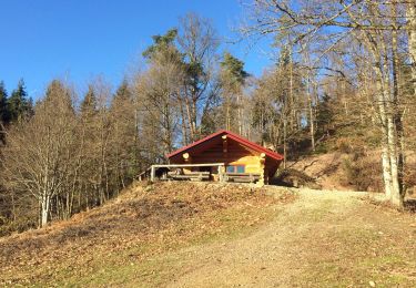 Trail Walking Sickert - Sickert-Abri de Sickertbach (court)  - Photo