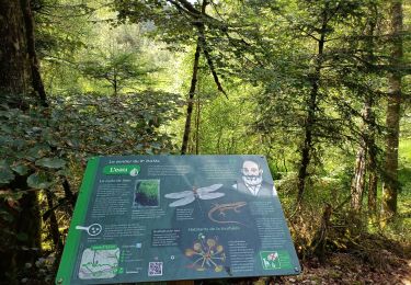 Trail Walking Cleurie - Circuit Cleurie / ST Amé - le Fossard - Photo