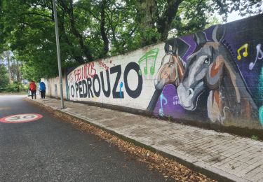 Randonnée Marche Arzúa - Arzua O Pedreiro - Photo